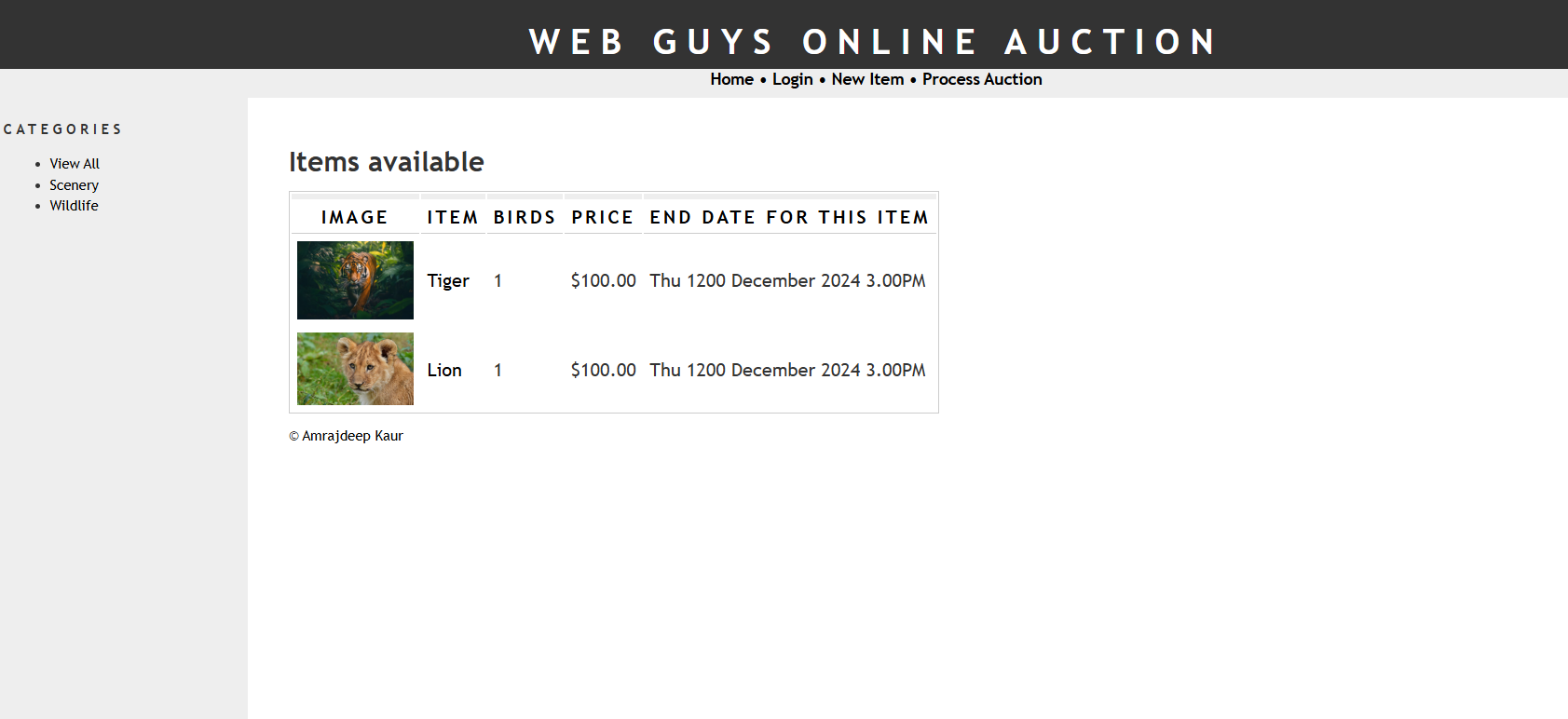 Auction Website Screenshot